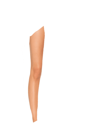 revised leg