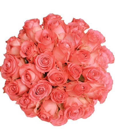 coral rose bouquet