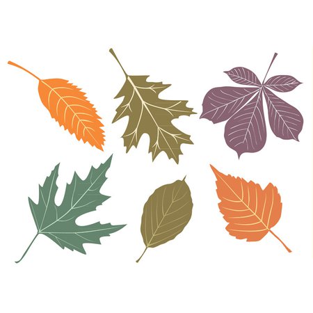 Bytedust Lab – Vector & Design This Free Vector Autumn Leaves Set Is The Best Download on The Web!