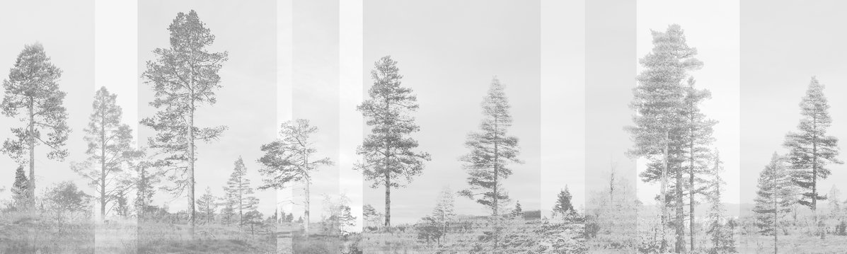 panorama-grey.jpg (1197×359)