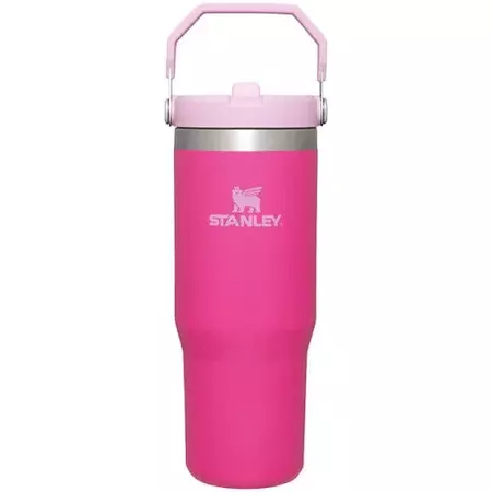 hot pink stanley cup flip straw - Google Search