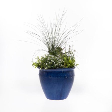 blue flower pot