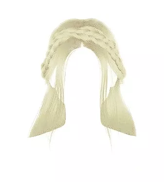 Blonde Braid Wreath Half Updo Hair (HVST Edit)