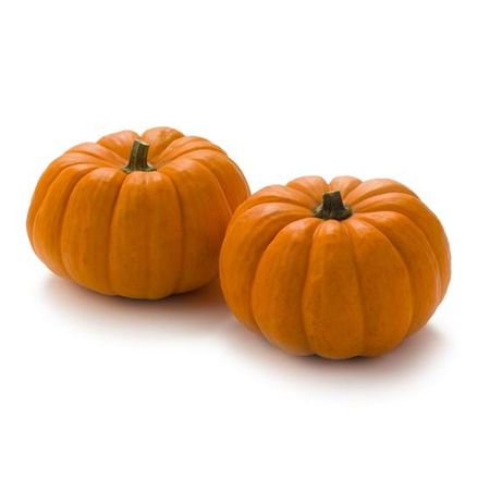 Mini pumpkin is an eye catcher among the pumpkins - Nature's Pride