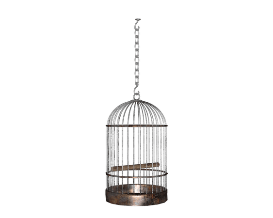 hanging bird cage