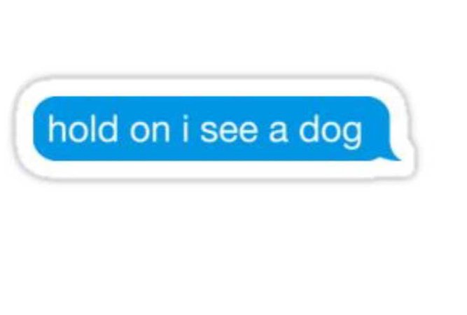hold on i see a dog text