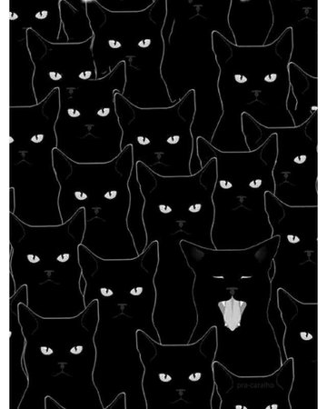 black cat pattern