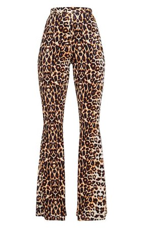 Leopard Print Velvet Flared Pants | PrettyLittleThing USA