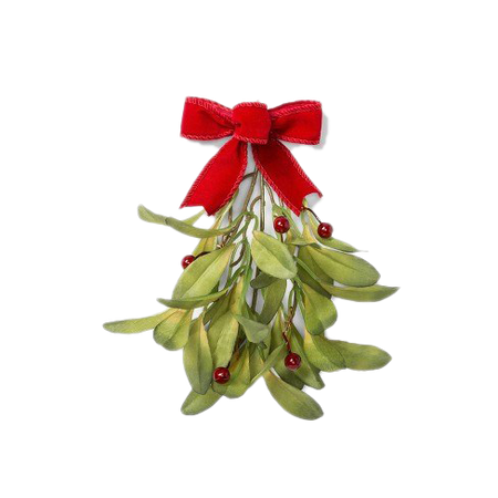 Mistletoe PNG Transparent Images | PNG All