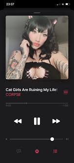 cat girls are ruining my life spotify - Google Search