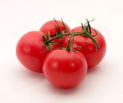 tomato – Google Kereső