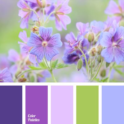 Color Palette #647 | Color Palette Ideas