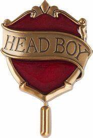 Gryffindor head boy pin