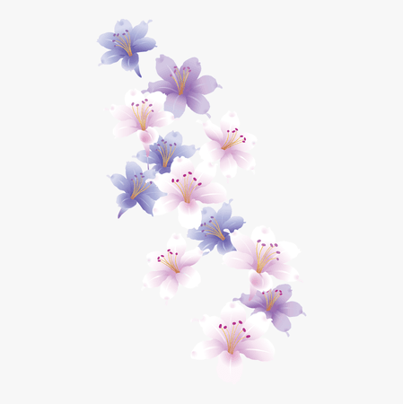 lilac flower png - Google Search