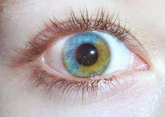 beautiful rare eye colors - Google Search