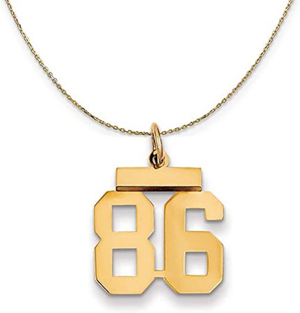 Amazon.com: 14k Yellow Gold, Small Polished Number 86 Necklace - 16 Inch : Clothing, Shoes & Jewelry