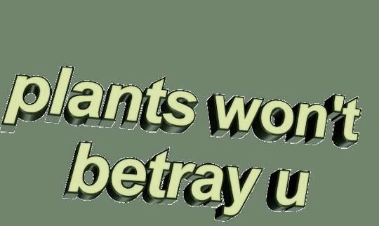 plants won't betray you
