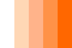 light orange color - Google Search