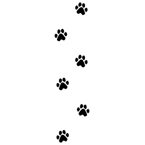 cat-paw-prints-10594-12025-300x300.png (300×300)