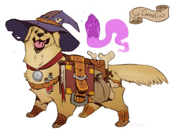 wizard dog