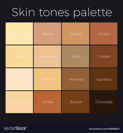 skin-tones-palette-vector-18060934.jpg (1000×1080)