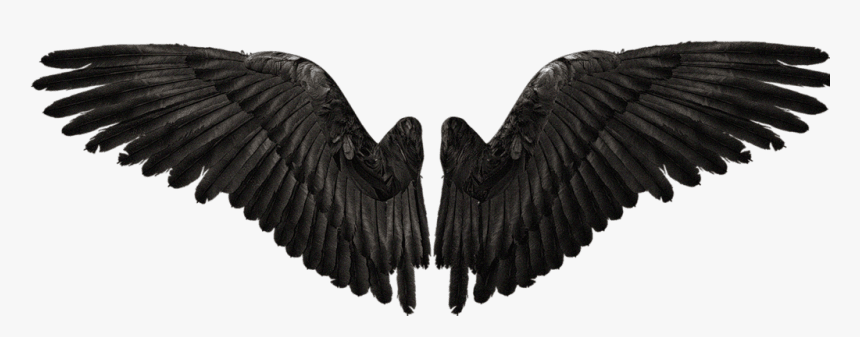 black wings 4