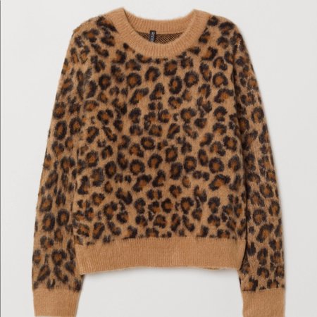 leopard fuzzy sweater - Google Search