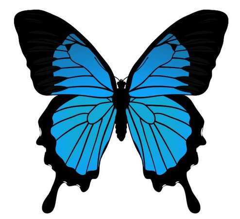 “Papillon bleu” - Carte d'utilisateur elenaboguraeva dans Yandex.Collections