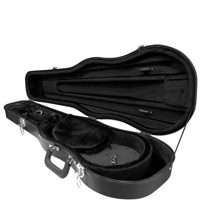 violin bag
