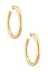 The M Jewelers NY The Thick Hoop Earrings in Gold | REVOLVE