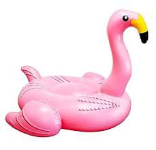 flamingo floatie - Google Search