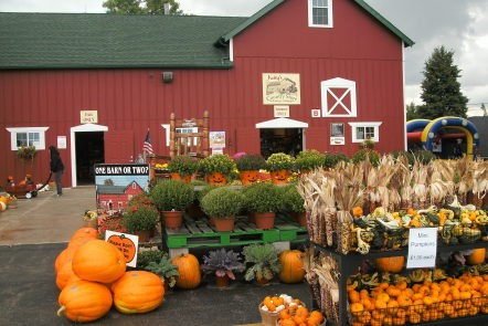 Pumpkin Patches, Corn Mazes, Fall Festivals in the Plainfield Area | Plainfield, IL Patch