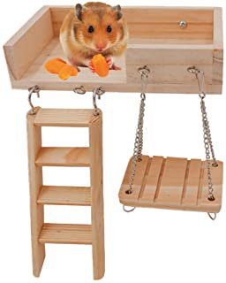Amazon.com : Hamster