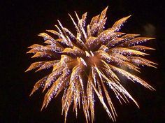 320 Best Fireworks ideas | fireworks, fourth of july, fire works