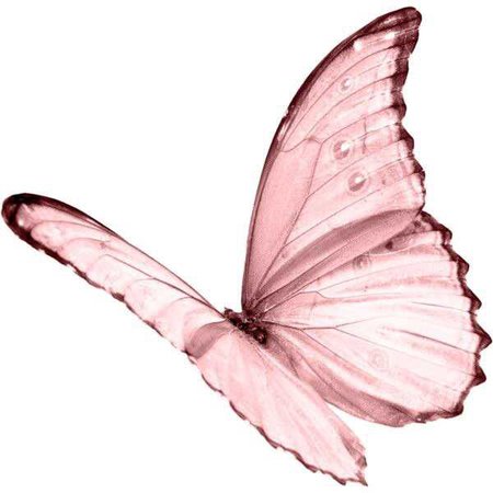 pink filter