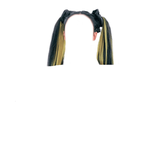 Dark Brown Hair With Yellow Streaks PNG Pigtails