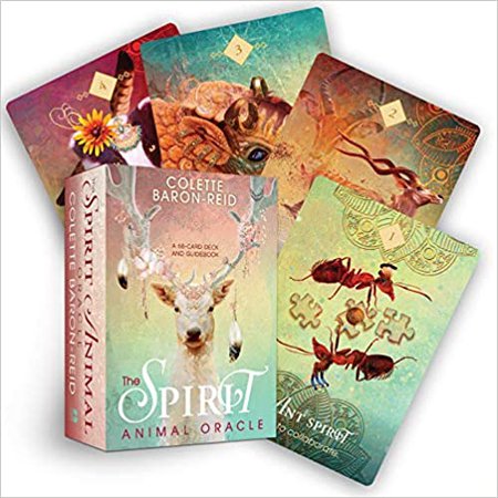 The Spirit Animal Oracle: A 68-Card Deck and Guidebook: Baron Reid, Colette: 9781401952792: Amazon.com: Books