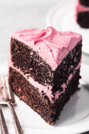 Chocolate Cake with Cranberry Buttercream | The View from Great Island