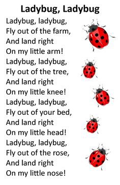 Pinterest - Ladybug