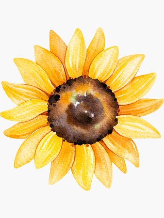 "Watercolor sunflowers" Sticker