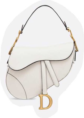 Dior Saddle Calfskin Bag