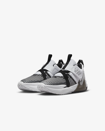 Nike Lebrons
