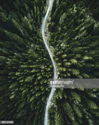 pacific northwest high resolution background - Google Search
