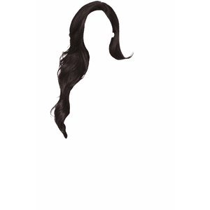 long black hair png