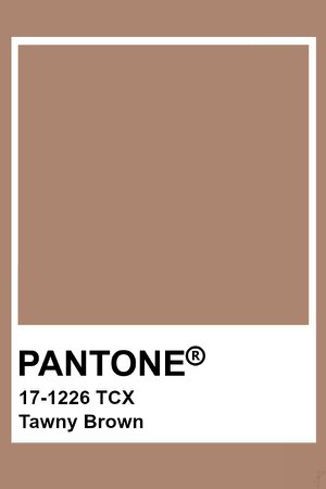 tawny brown color palette - Google Search