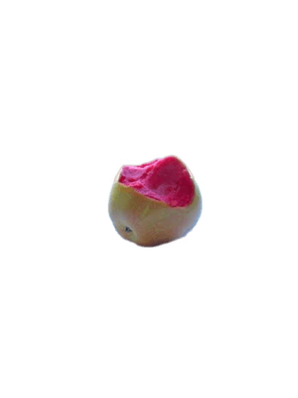 pink pearl apples food
