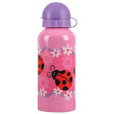 ladybug water bottle