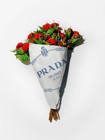 PRADA: Dans sa dernière campagne, Prada le dit avec des fleurs