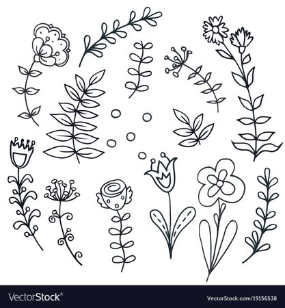 Hand drawn floral set with leaves flowers Vector Image