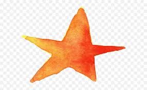 orange star - Google Search